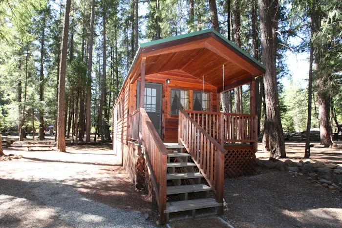 Trinity Lake KOA Holiday Picture 10
