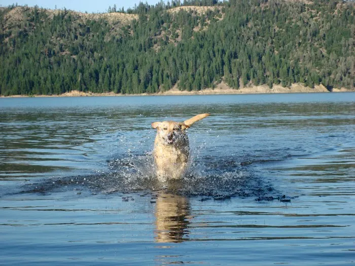 Trinity Lake KOA Holiday Picture 7