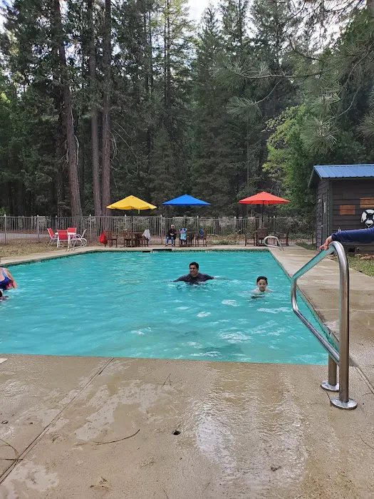 Trinity Lake KOA Holiday Picture 2
