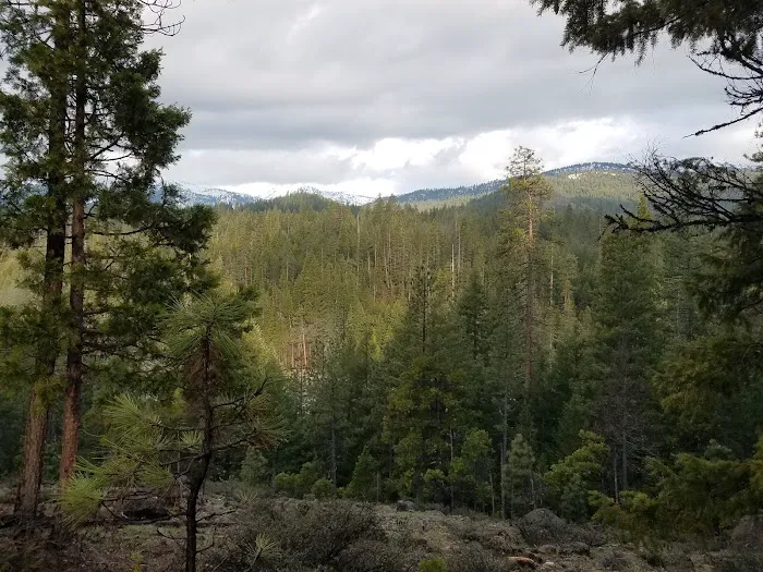 Preacher Meadow Campground Picture 2