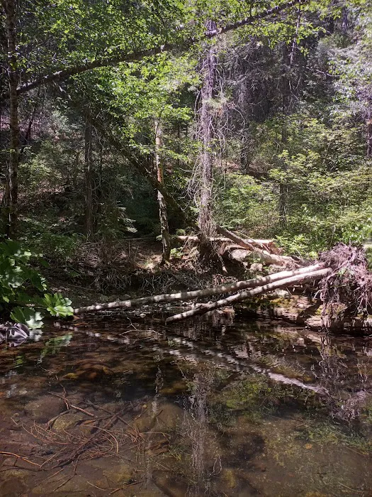 Clear Creek Campground Picture 5