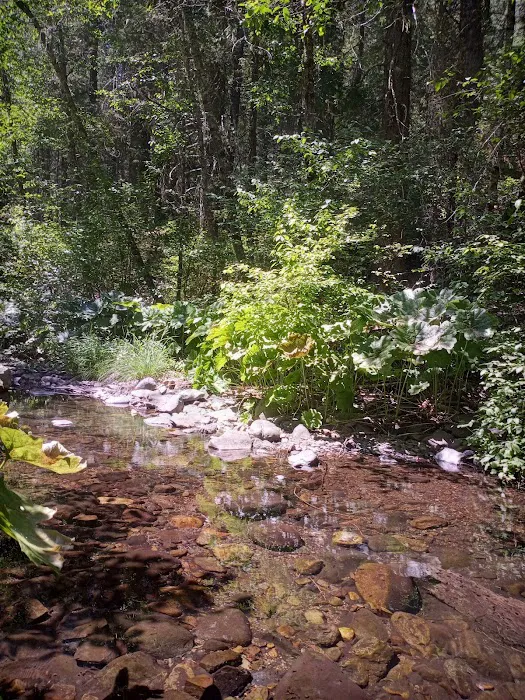 Clear Creek Campground Picture 4