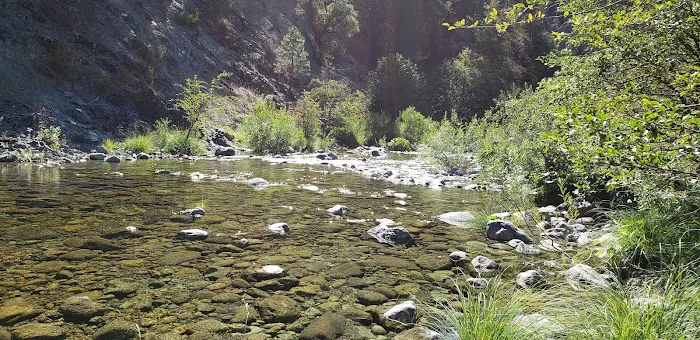 Idlewild Campground Picture 4