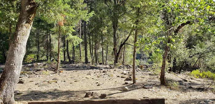 Idlewild Campground Picture 9
