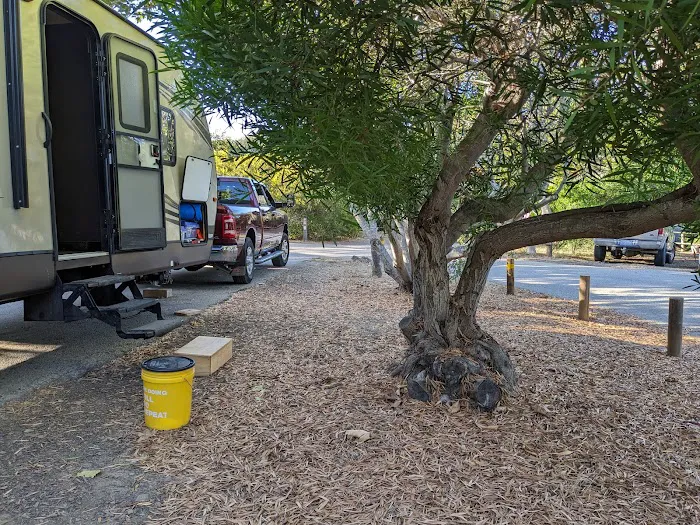 El Chorro Regional Campground Picture 10