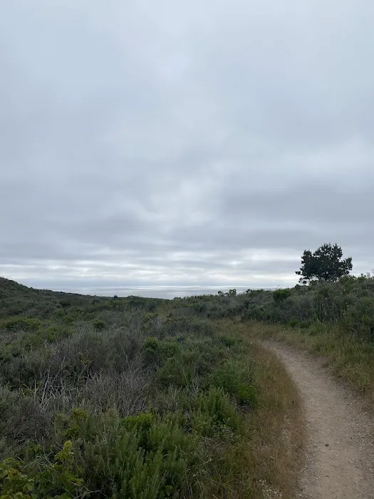 Islay Creek Campground Picture 7