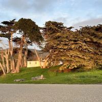 Islay Creek Campground ico
