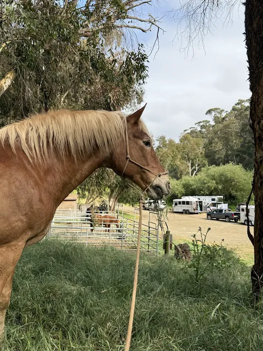 Montana De Oro Horse Camp Picture 6