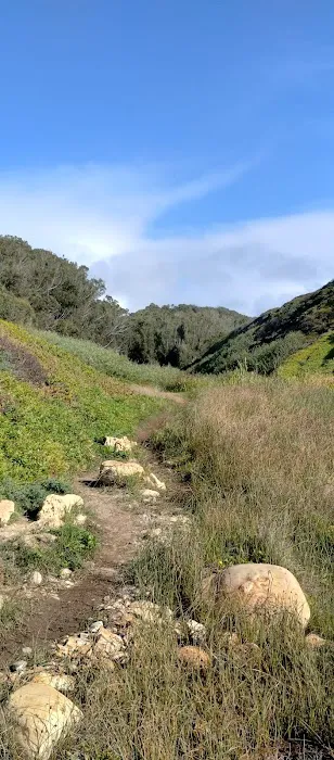 Montana De Oro Horse Camp Picture 5
