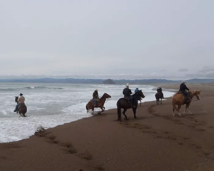Montana De Oro Horse Camp Picture 2