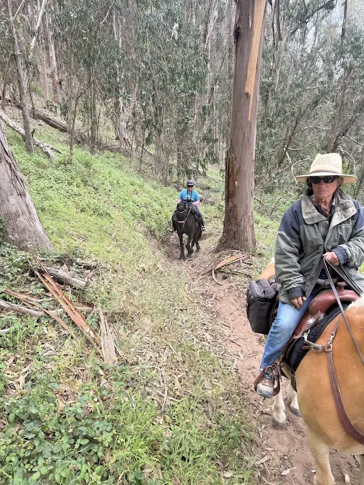 Montana De Oro Horse Camp Picture 9