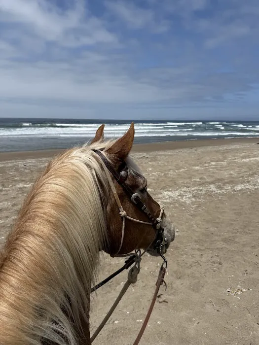 Montana De Oro Horse Camp Picture 8