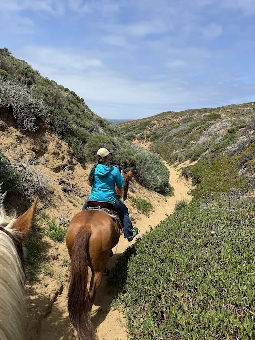 Montana De Oro Horse Camp Picture 10