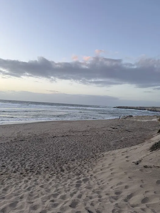 Vandenberg Space Force Base - Wall Beach Campground Picture 4