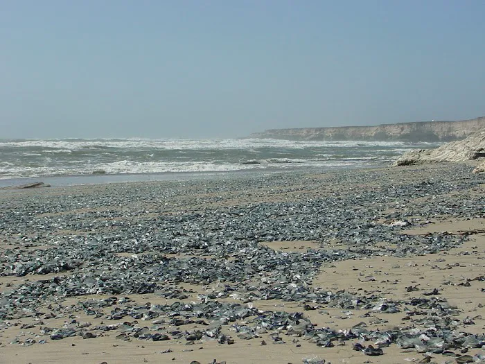 Vandenberg Space Force Base - Wall Beach Campground Picture 2