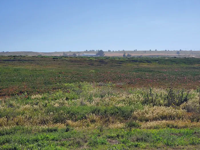 Vandenberg Space Force Base - Wall Beach Campground Picture 6