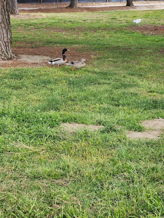 River Park Picture 6
