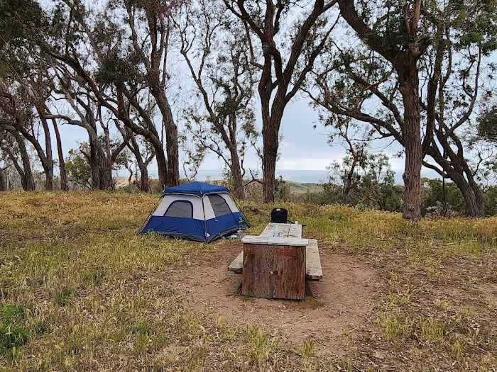 Environmental camp #2 Picture 4