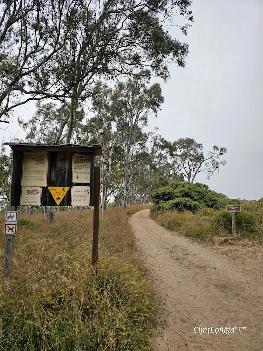 Environmental camp #2 Picture 3