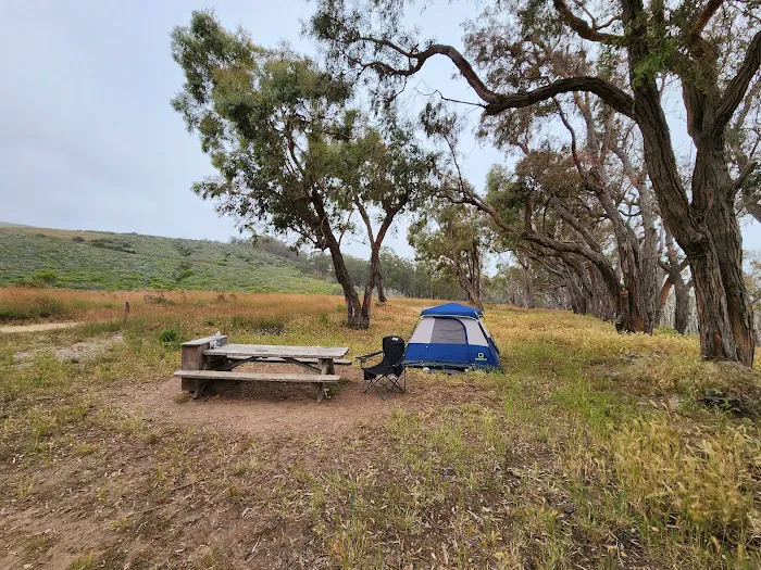 Environmental camp #2 Picture 1
