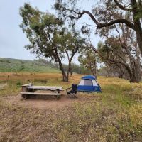 Environmental camp #2 ico