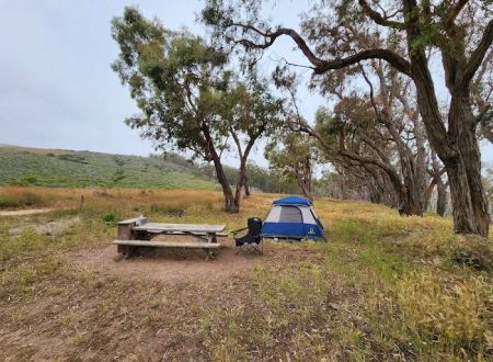Environmental camp #2