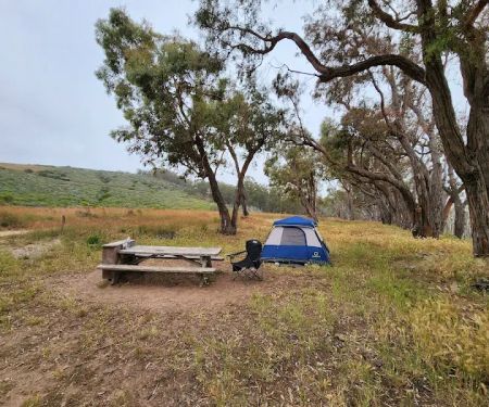 Environmental camp #2