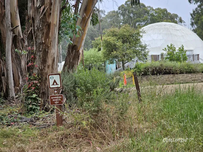 Environmental camp #2 Picture 8