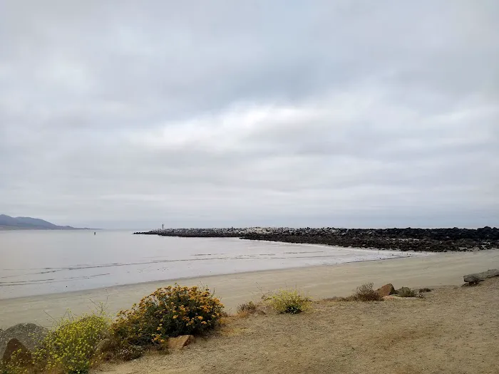 Morro Bay State Park Campground Picture 1