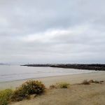 Morro Bay State Park Campground