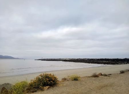 Morro Bay State Park Campground