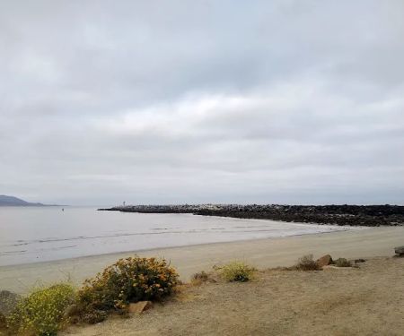 Morro Bay State Park Campground