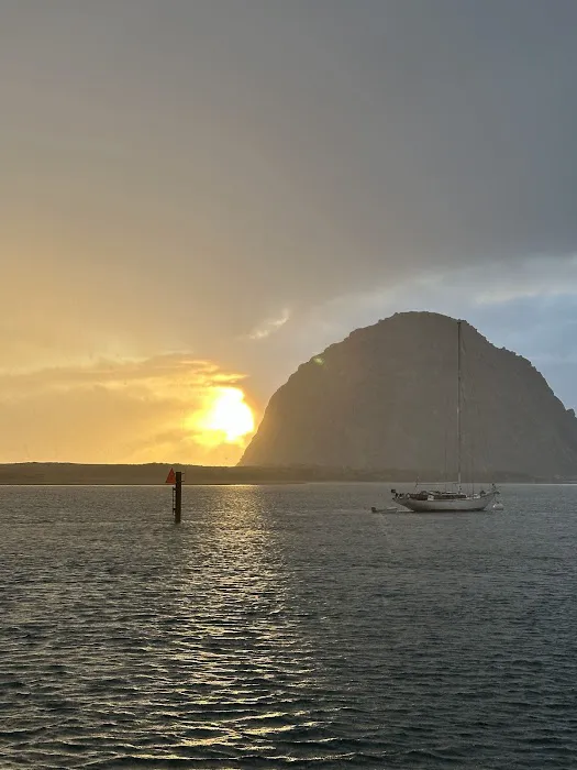 Morro Bay State Park Campground Picture 9