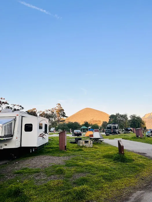 Morro Bay State Park Campground Picture 3