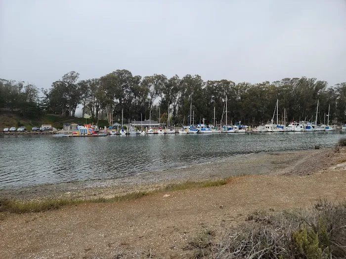 Morro Bay State Park Campground Picture 8