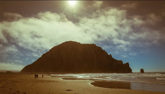 Morro Bay State Park Campground Picture 5