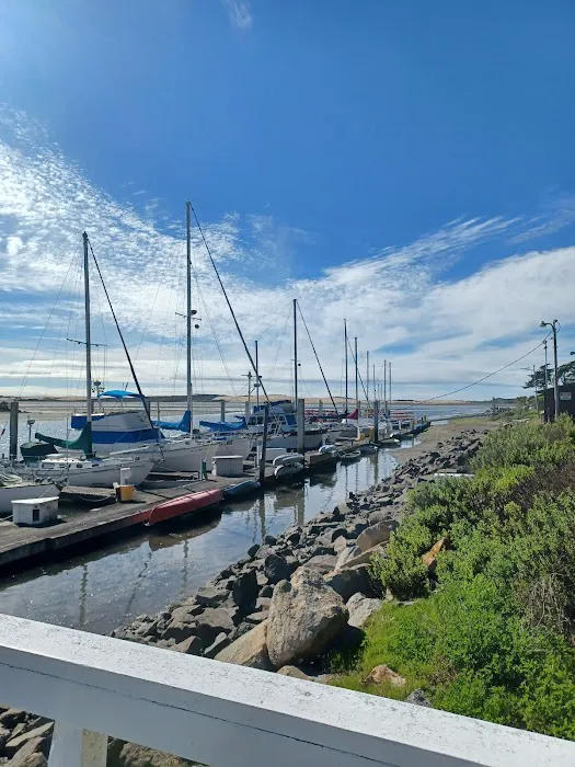 Morro Bay State Park Campground Picture 7