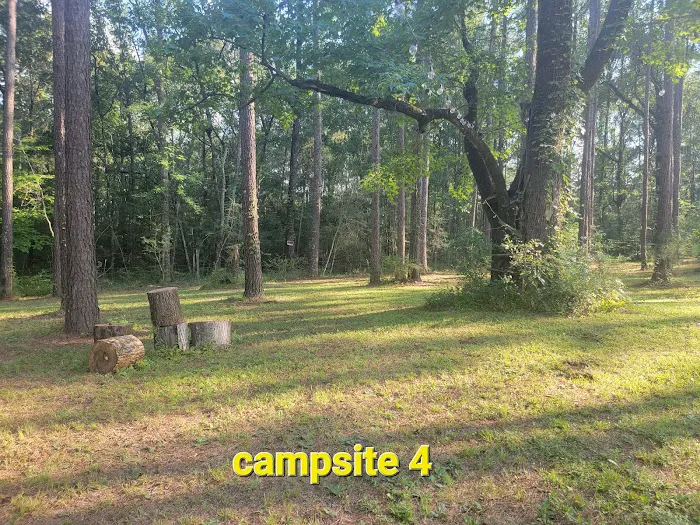 Missihippie Camping and Berries Picture 8