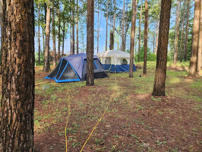 Missihippie Camping and Berries Picture 6