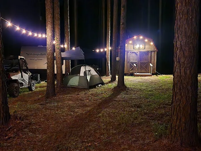 Missihippie Camping and Berries Picture 4
