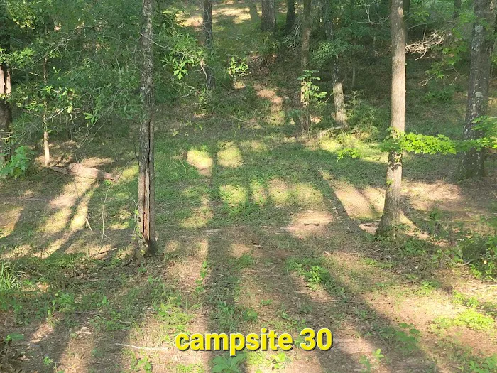 Missihippie Camping and Berries Picture 7