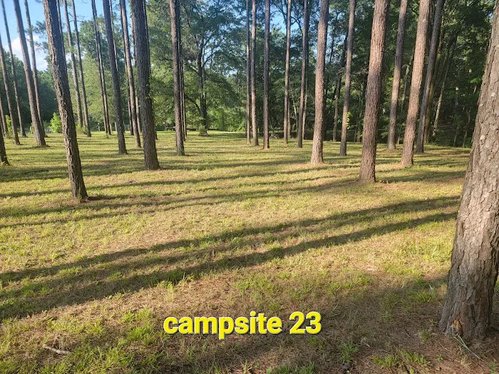 Missihippie Camping and Berries Picture 9