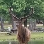 Magnolia RV Park and Family Campground