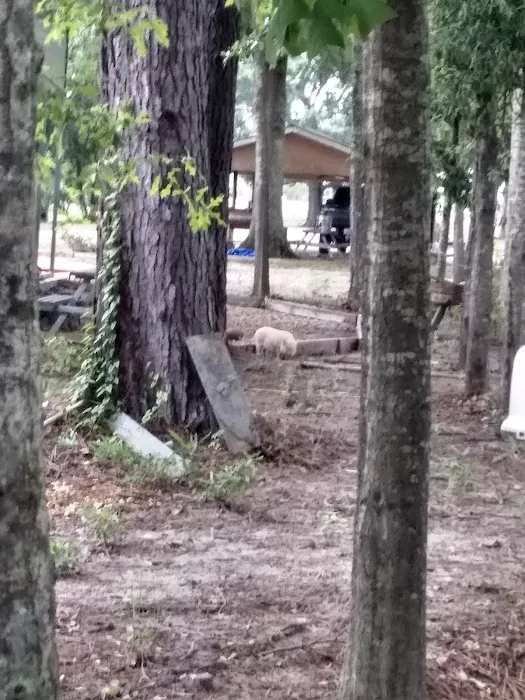 Magnolia RV Park and Family Campground Picture 2