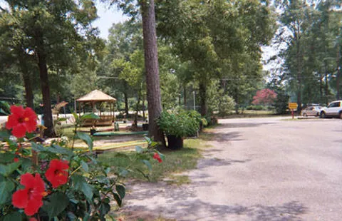 Baton Rouge KOA Holiday Picture 4