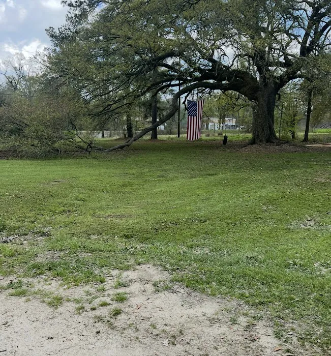 Ashley’s campsites Picture 1