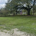 Ashley’s campsites