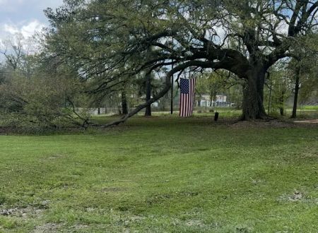 Ashley’s campsites
