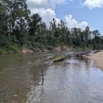 The Point: Camping and Kayaking