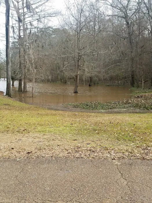 Low Head Dam Picture 10